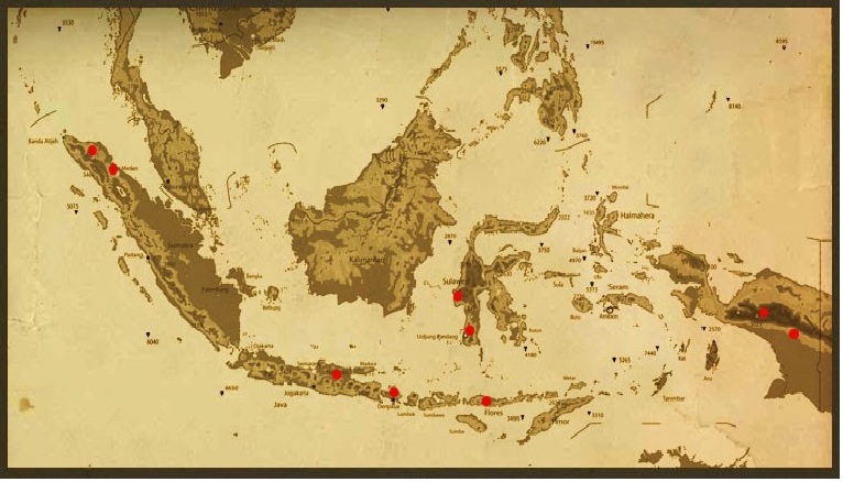 Genealogi Pemikiran Islam Nusantara – Katanya Sutakwa